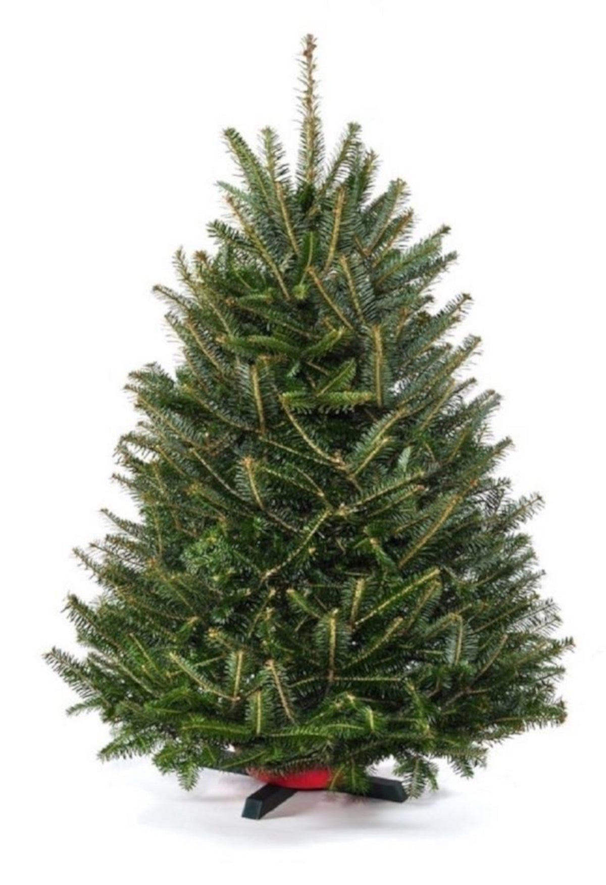 3' Balsam Fir Tabletop Christmas Tree