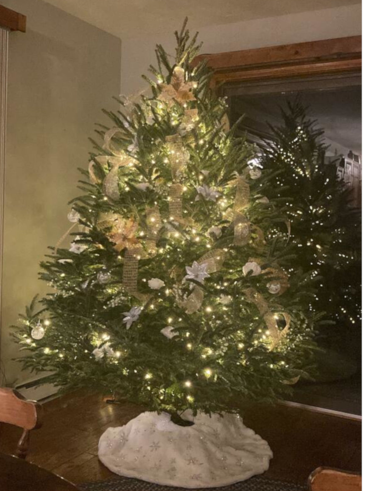 6' Premium Fraser Fir Christmas Tree
