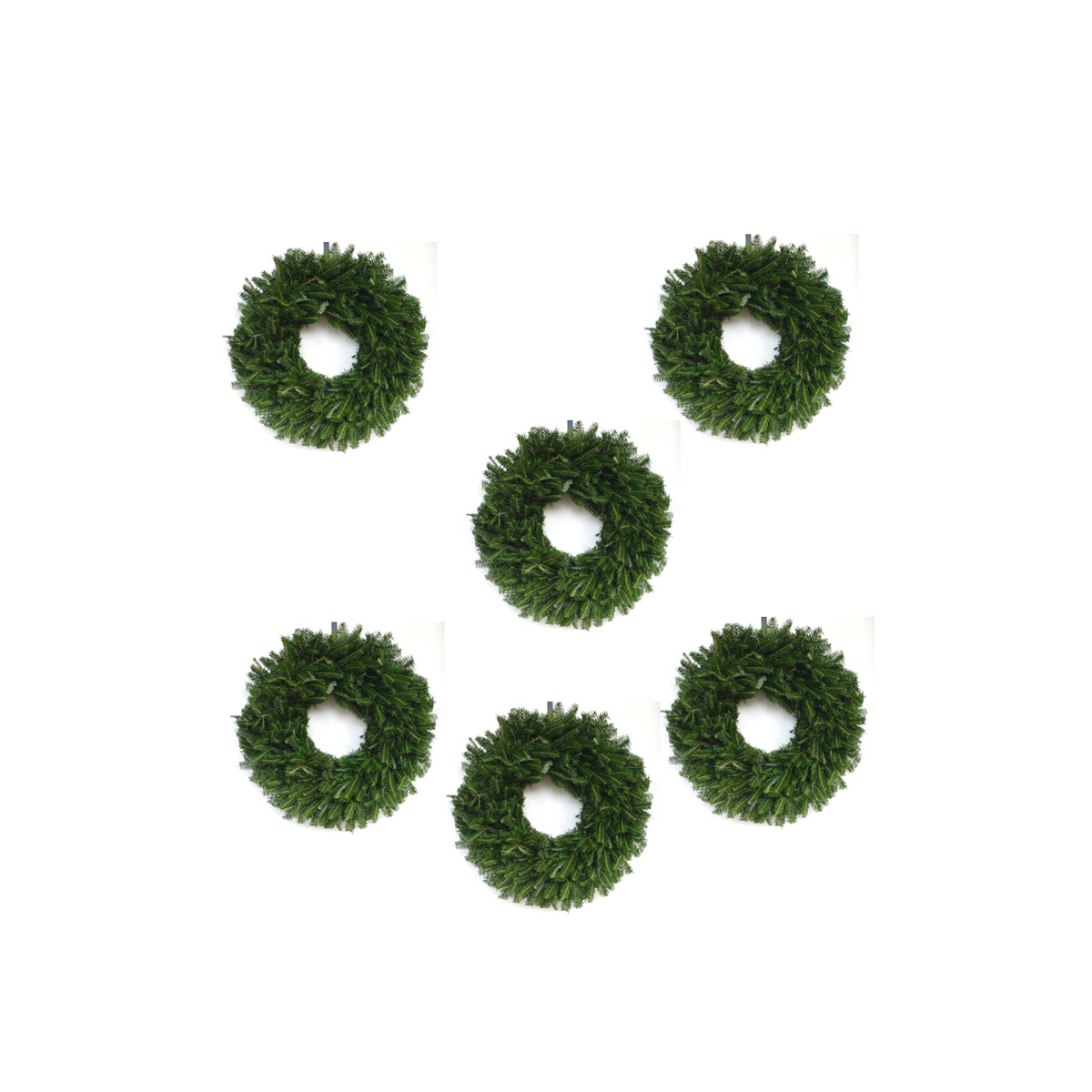 6-Pack Fresh Balsam Fir Wreaths