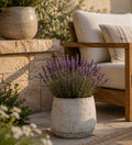 White Geometric Cement Outdoor Planter