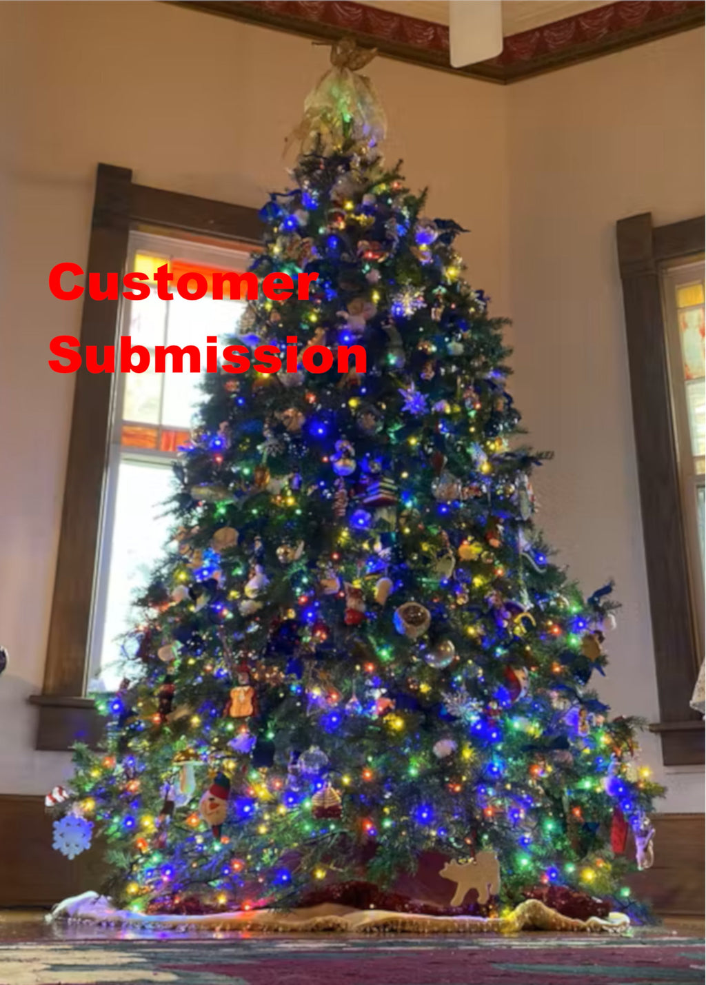 8' Premium Balsam Fir Christmas Tree