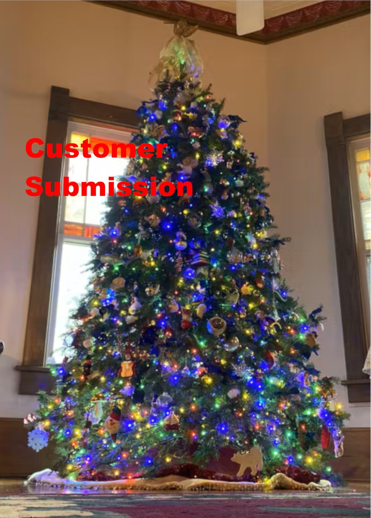 8' Premium Balsam Fir Christmas Tree