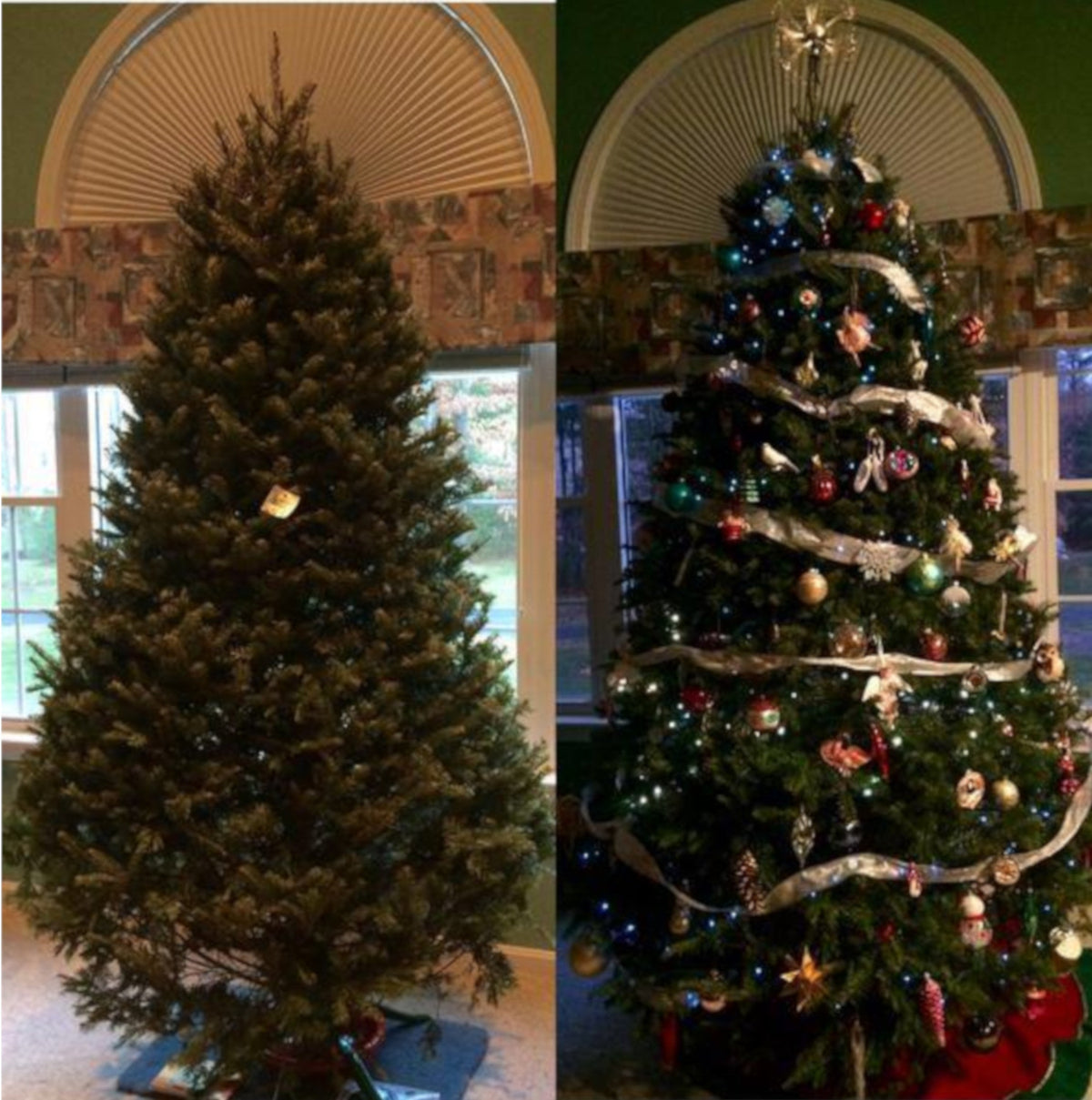 8' Premium Balsam Fir Christmas Tree