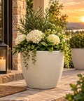 European Round Planter