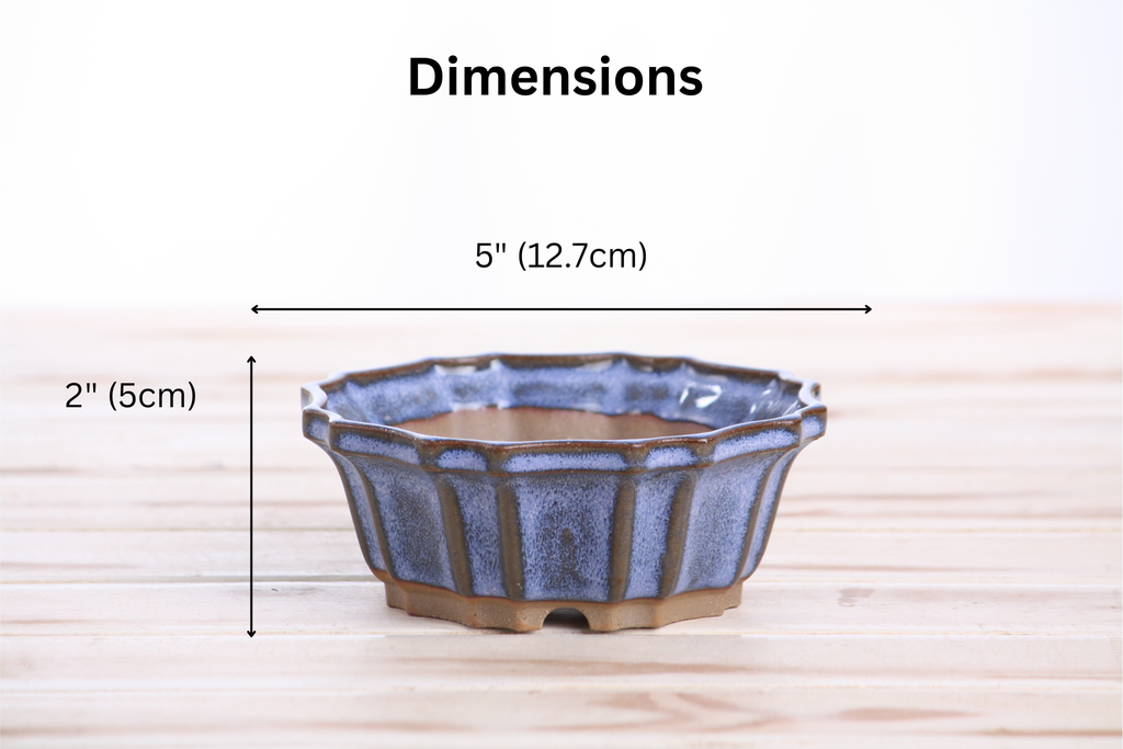 5-Inch Flower Design Ceramic Bonsai Pot