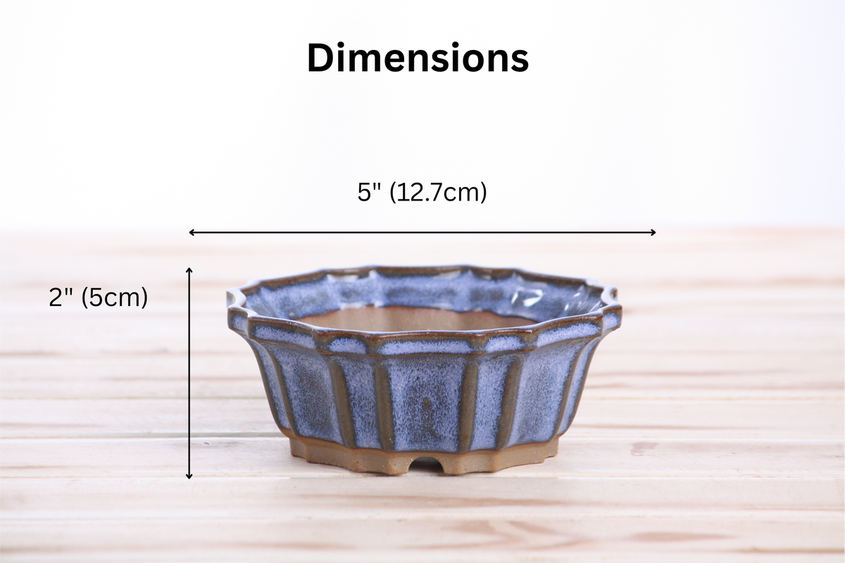 5-Inch Flower Design Ceramic Bonsai Pot