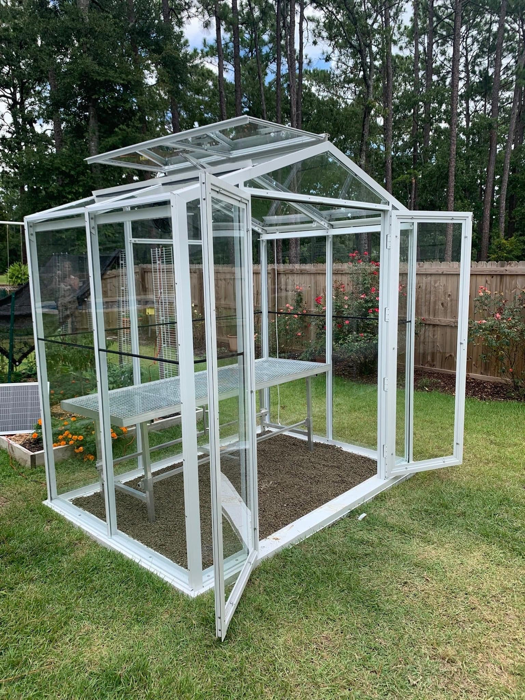 Sago 5’ × 8’ Glass Greenhouse