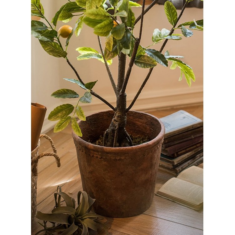 Terracotta Red Concrete Outdoor Planter
