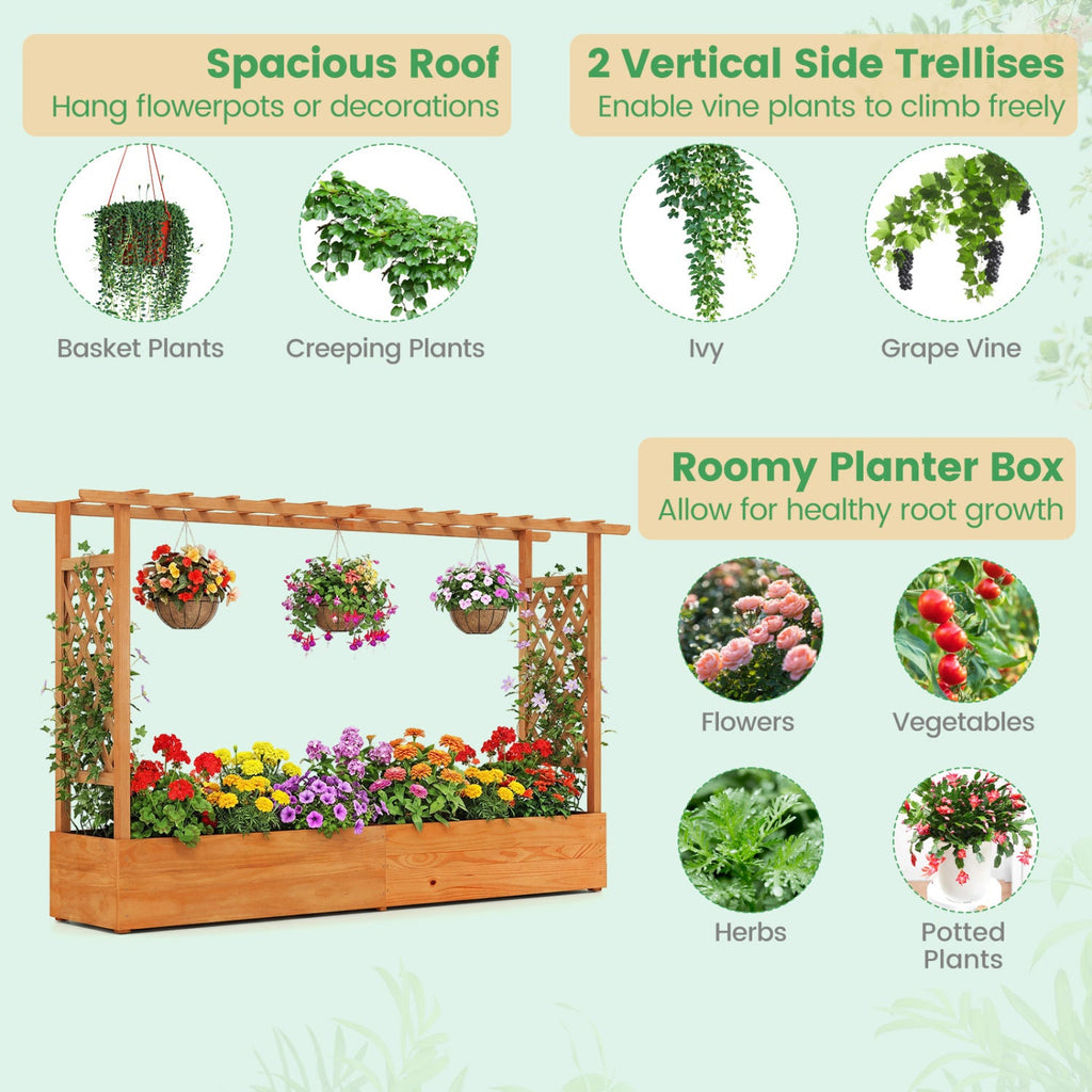 Raised Garden Bed Planter with Trellis