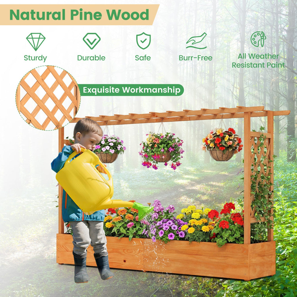 Raised Garden Bed Planter with Trellis