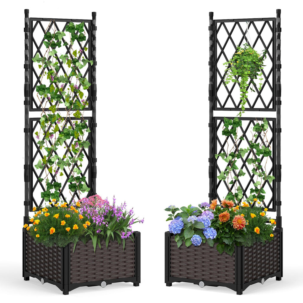 Self-Watering Raised Garden Bed with Trellis