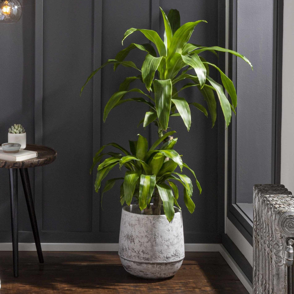White Geometric Cement Outdoor Planter