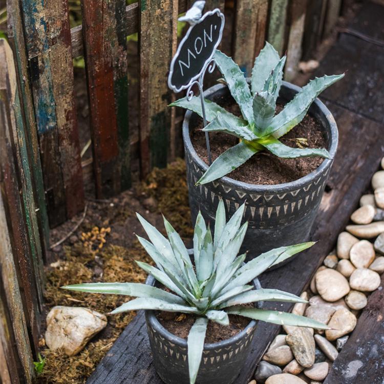 Black Cement Pottery Planter