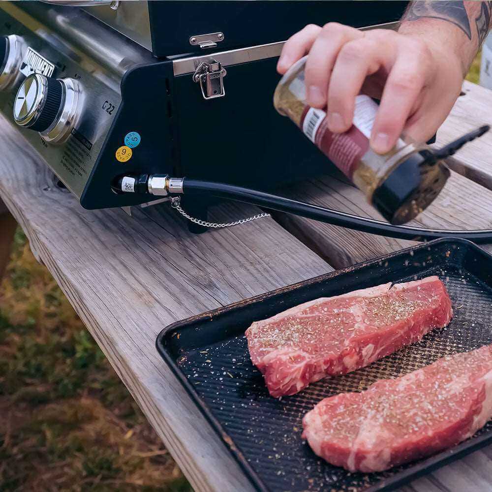G22 Stainless Steel Tabletop Propane Gas Grill