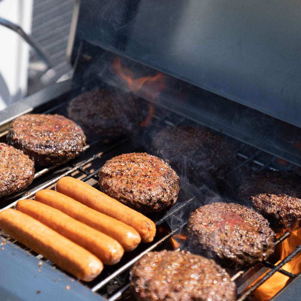 G22 Stainless Steel Tabletop Propane Gas Grill