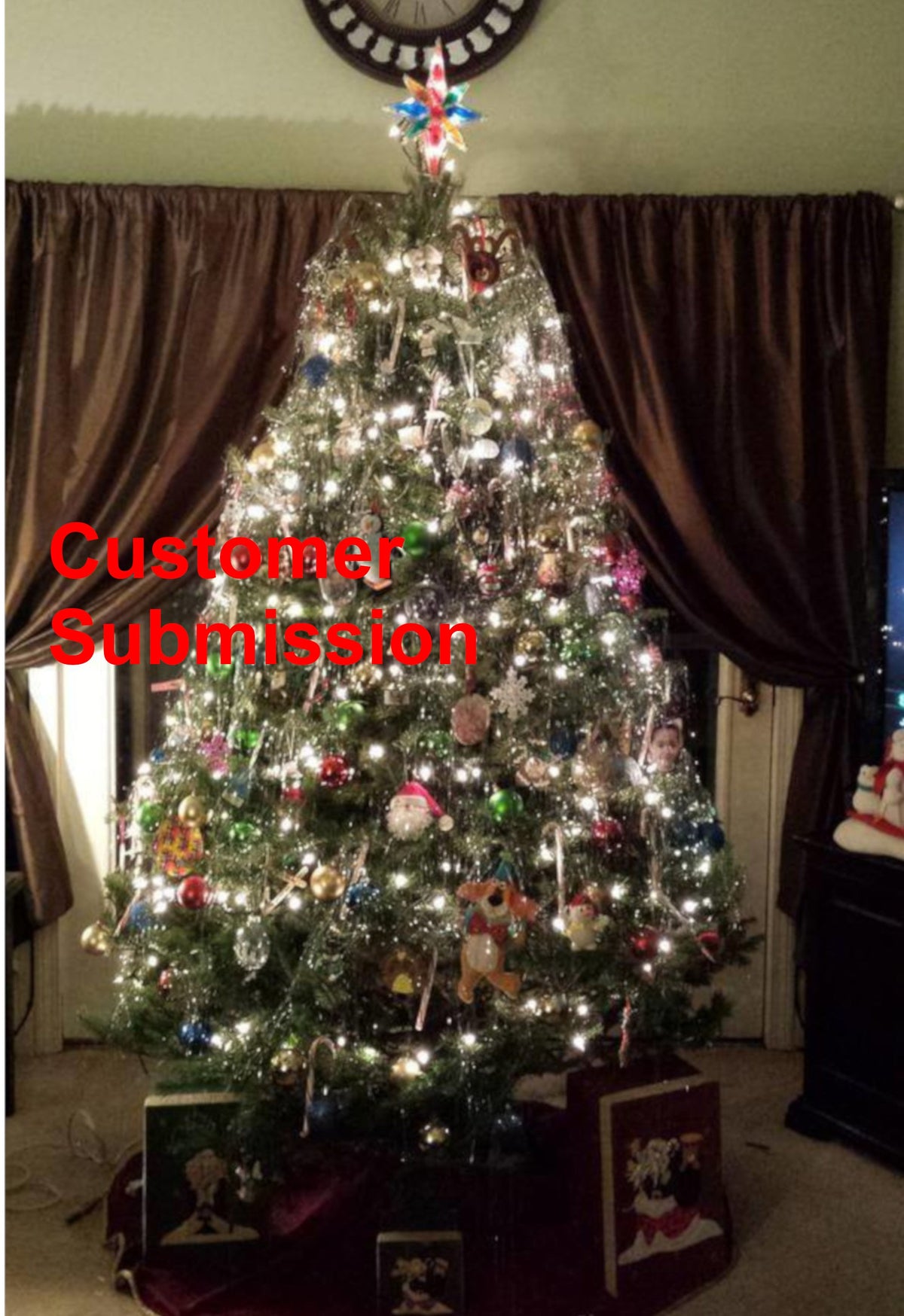 7' Premium Balsam–Fraser Fir Hybrid Christmas Tree