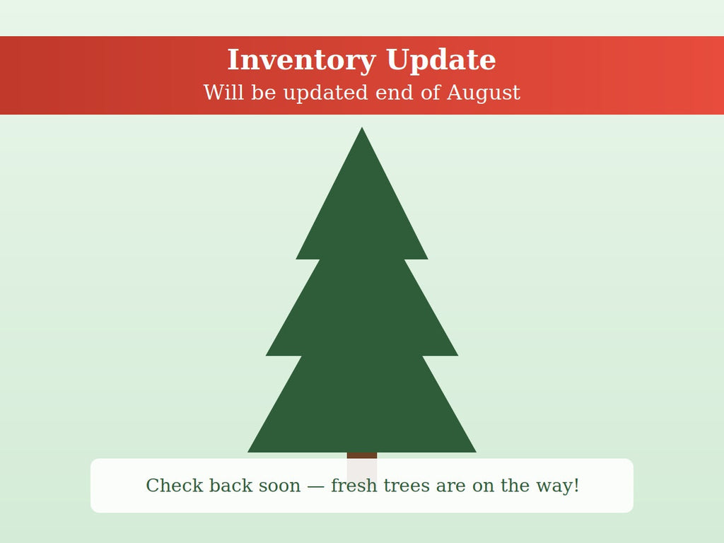 Premium Douglas Fir Christmas Tree