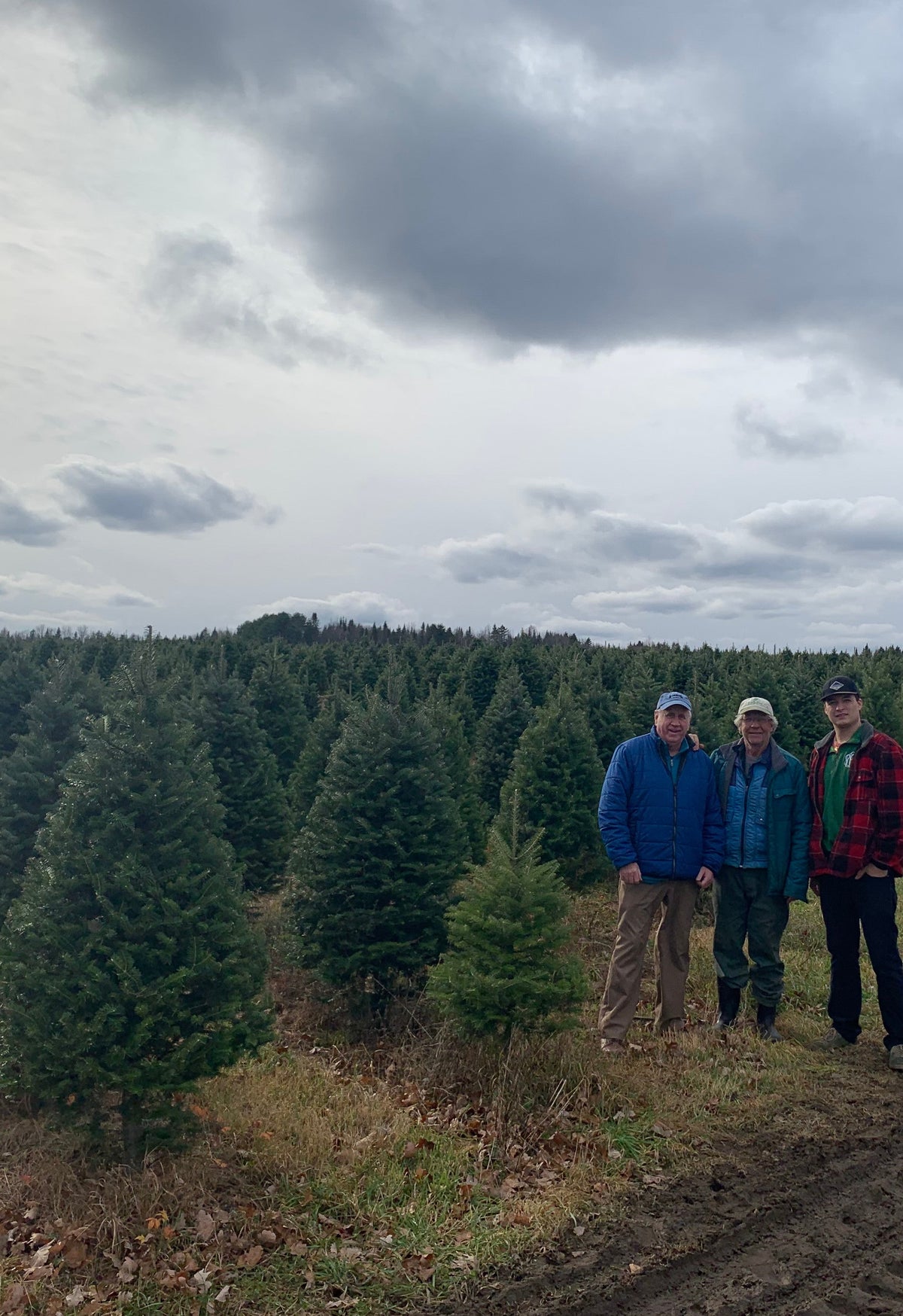 9' Premium Balsam Fir Christmas Tree