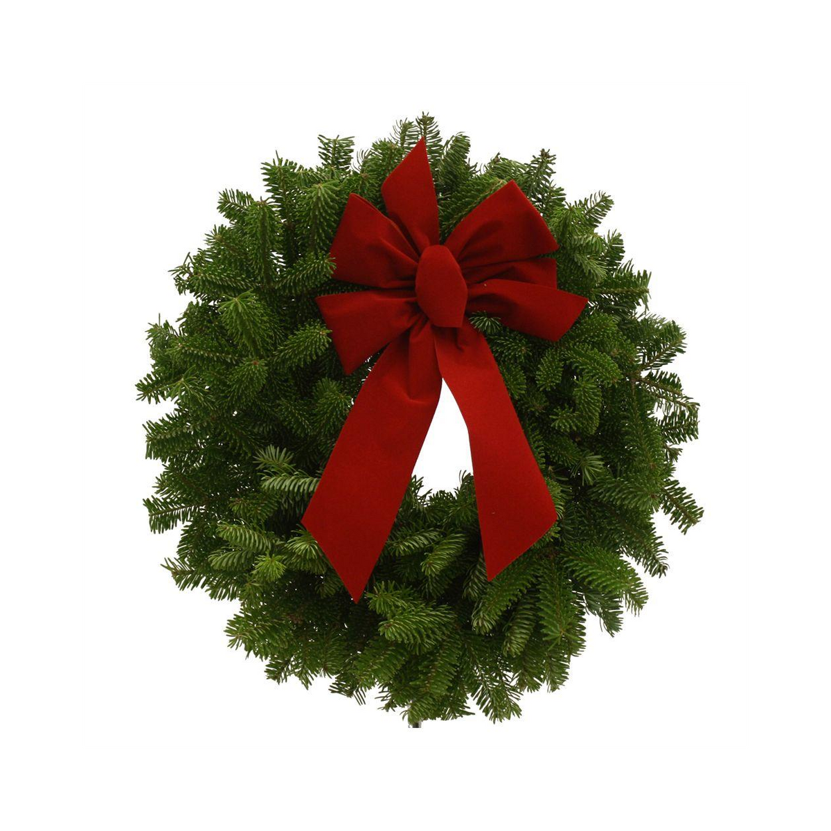 Fresh Balsam Fir Wreath with Bow