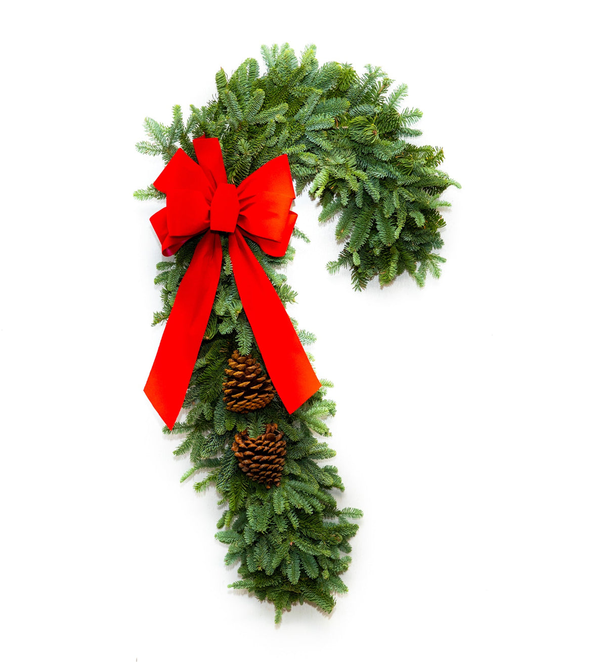 26" Noble Fir Candy Cane Wreath