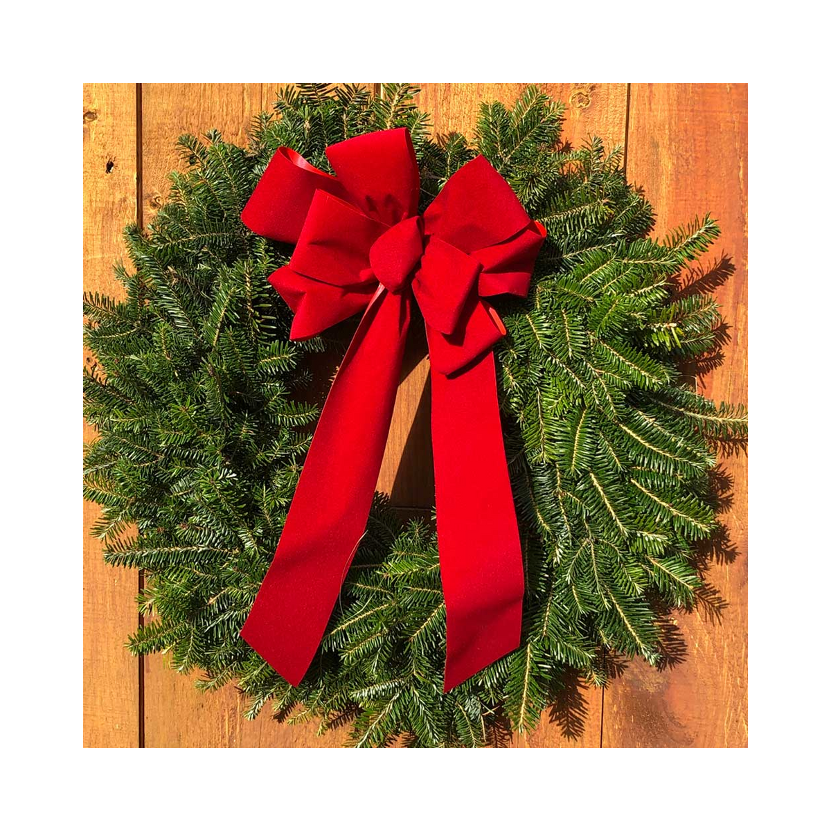 2-Pack Fresh Balsam Fir Wreaths with Bows
