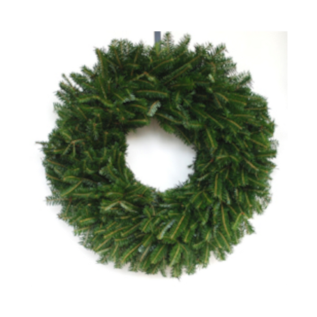 6-Pack Fresh Balsam Fir Wreaths