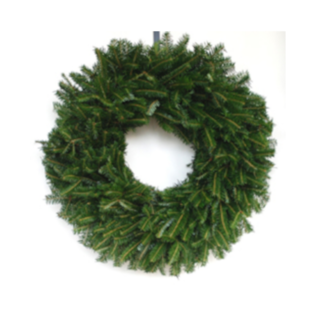 6-Pack Fresh Balsam Fir Wreaths